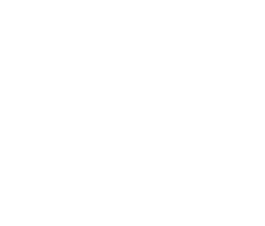 Stroberry_IRIS-Kainos_Final_B