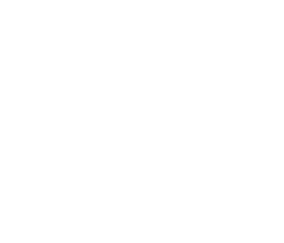 Stroberry_IRIS-PaP_Final_B